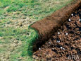 Getting to the root of grub problems