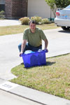 Keep your living environment green this summer
