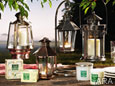 Outdoor Entertaining Ideas