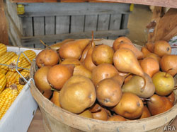 Composting, crafts and cuisine: Using what's in your garden