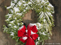 Garden accents for the holidays
