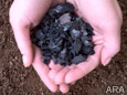 Grow healthier plants using less water with SoilReef biochar. thumbnail