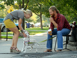 Getting a dog? Consider these factors to make sure you're a match