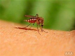 Enjoy outdoor activities while keeping ticks and mosquitos away