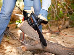 Green tips for tackling fall lawn cleanup