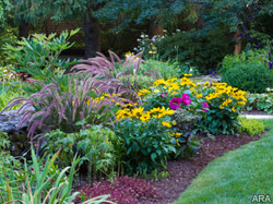 To rid your garden of weeds, focus on the seeds