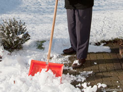 How to protect your landscaping during the snow season
