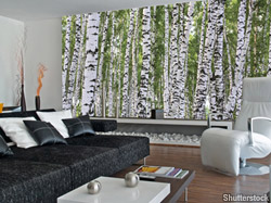 Ideas for 're-feathering' your empty nest on the cheap