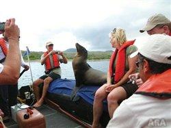 Immerse yourself in nature's greatest wonders on a Galapagos tour