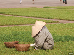 A Vietnam tour puts a fascinating country within every traveler's reach