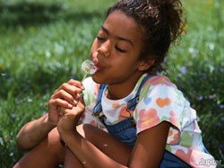 What four factors influence the severity of allergy season?