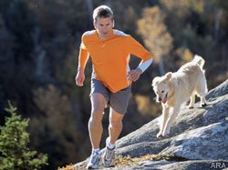 Your dog's good looks start from the inside out