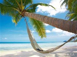 In a changing travel climate, travel agents reclaim the spotlight