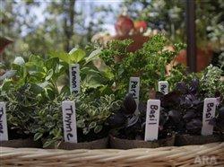 Fresh herbs all year make for great entertaining