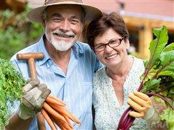 Gardening tips to avoid injury and discomfort