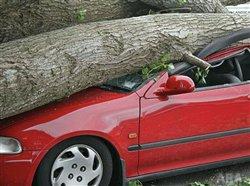 Protecting your financial information from natural disasters