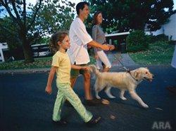 How to keep your pet healthy during any season