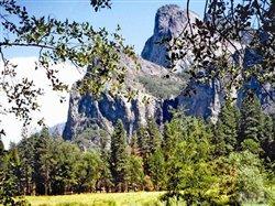 New Yosemite tour keeps history of 'Buffalo Soldiers' alive