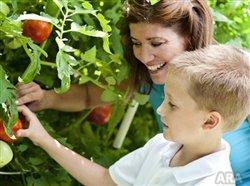 Time to grow for it: Homegrown on your own