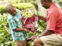 Summer games in the garden