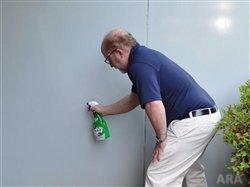 Maintain the health of your home with spring mold and mildew intervention