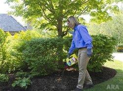 Ingenious gadgets keep smart gardeners playing in the dirt
