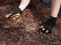 The guy's guide to mulch