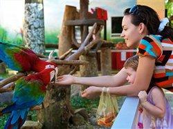 Tips to keep kids' minds as active as their bodies