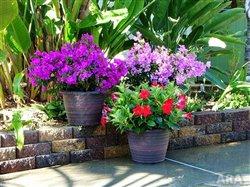 How to use the three Ps of decorating for an instant home and garden makeover