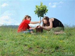 Know kids who give back to the community? How to recognize their contribution