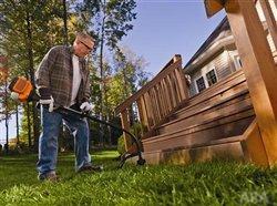 Easy lawn and garden tips for summer