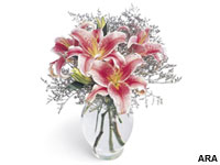 Valentine’s Day Flowers to Fit any Relationship