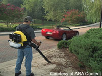 A Change of Season: Guidelines for Fall Lawn Care