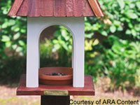 A Great Way to Give Something Back to Nature: Feed the Birds
