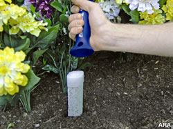 Unique Gardening Gifts for the Dad with a Green Thumb