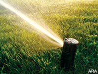 How to Water Wisely for a Better Lawn and Cost Savings